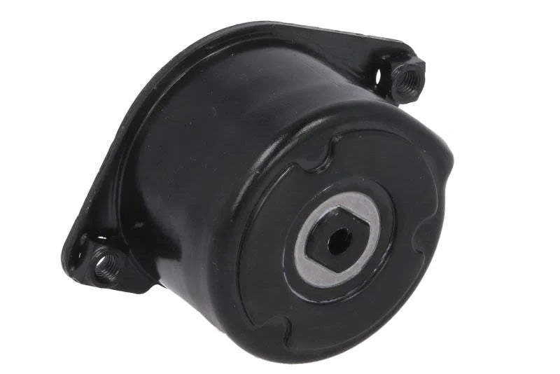 BMW M57 Belt Tensioner Assembly