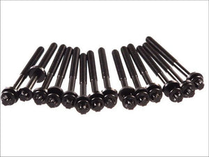 BMW M57 cylinder head bolts 11129067790 – product photo