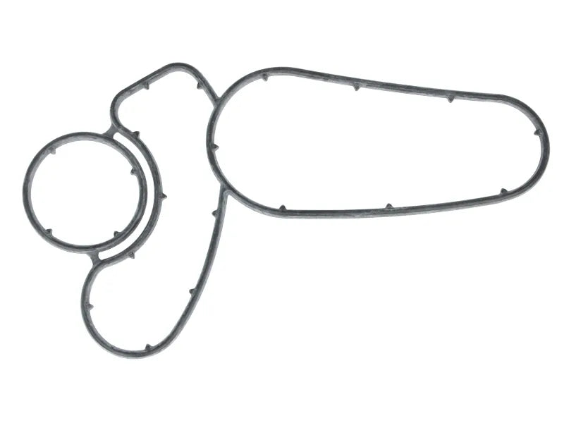BMW M57 Oil Heat Exchange Radiator Gasket