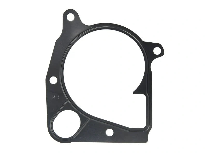 BMW M57 Water Pump Water Pump Gasket